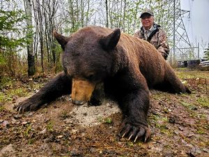 Epic Black Bear Hunts